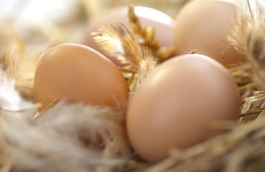 Are We Waking Up From the Cheap Food Era? Why Grass-Fed Beef and Real Farm Food Are Making a Comeback