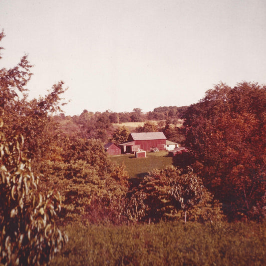 If I Wrote an Evil Playbook to Destroy the Family Farm