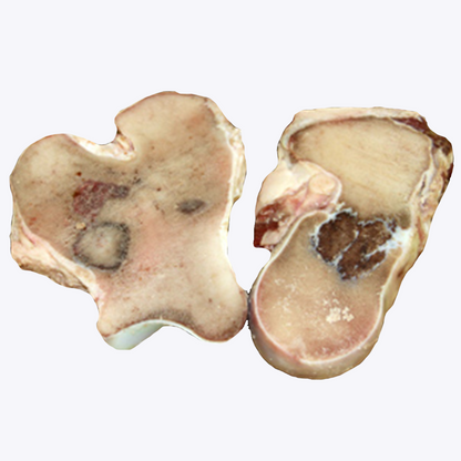 Creswick Farm's Knuckle Bone