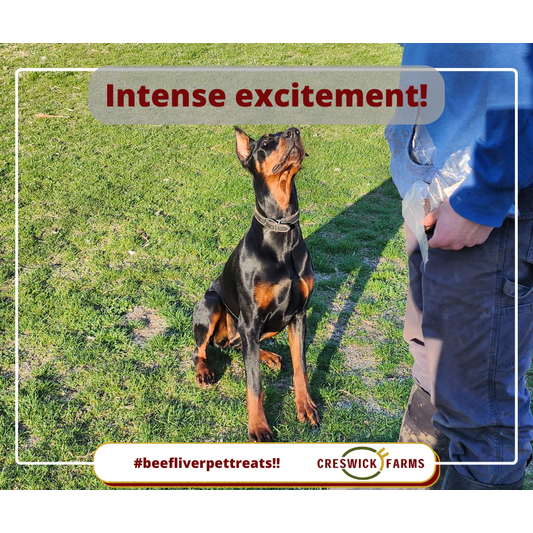 Creswick Farms Livertreats