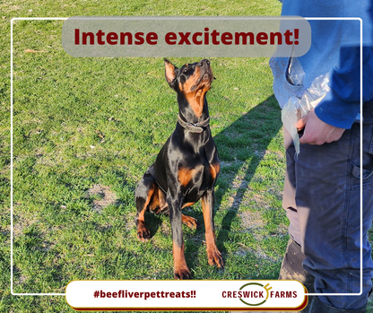 Creswick Farms Livertreats