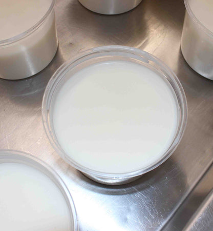 Creswick Farms Rendered Beef Tallow Grass-fed Beef, EBT SNAP Eligible